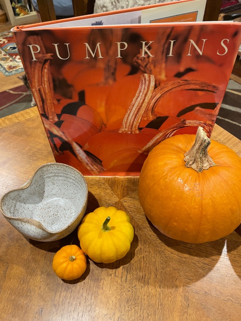 Punmpkins:  A Photographic Celebration - Hardbound - Picture 2 of 13